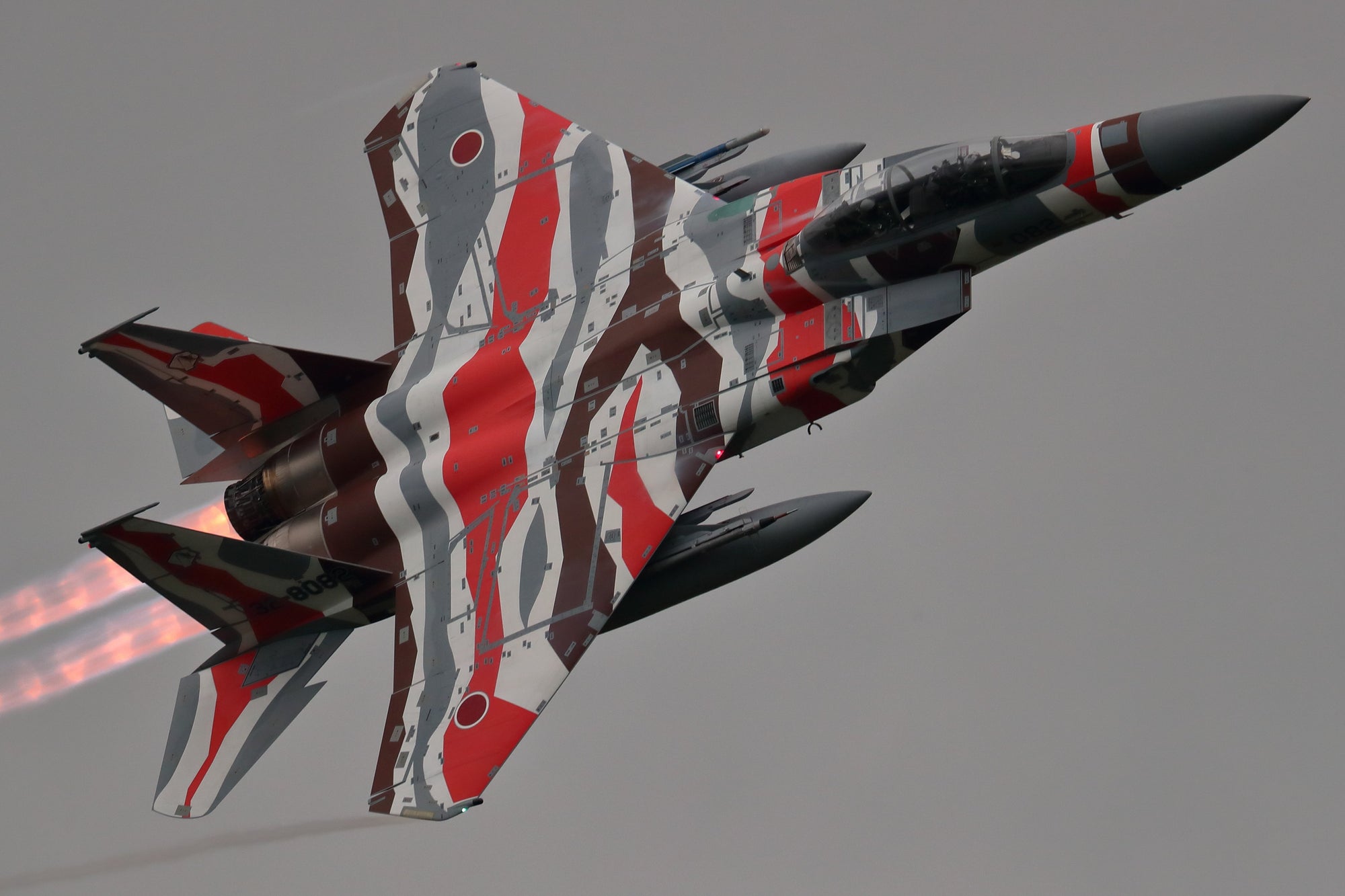 F-15DJ_Eagle_Aggressor Minokasago_Lionfish