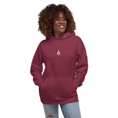 Hand-drawn schematic of the Mitsubishi F-15DJ Eagle 23rd Fighter Squadron 10th Anniversary Flame Edition livery on a unisex hoodie.