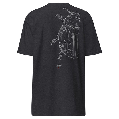 Hand-drawn schematic of the COCCINELLA SEPTEMPUNCTATA LADYBIRD printed on a heavyweight T-shirt.