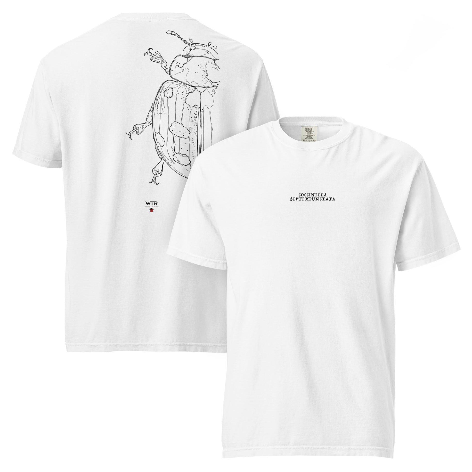 Hand-drawn biological schematic of the Coccinella Septempunctata Seven-spot Ladybird printed on a standard t-shirt.